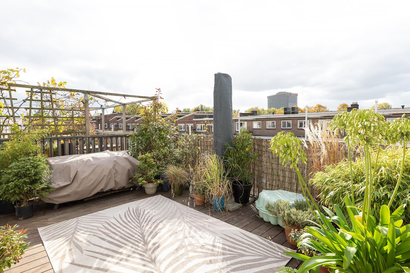 Orteliusstraat 219 3 AMSTERDAM Orteliusstraat 219 3 AMSTERDAM